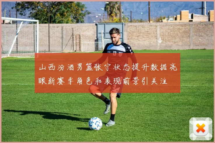 山西汾酒男篮张宁状态提升数据亮眼新赛季角色和表现前景引关注